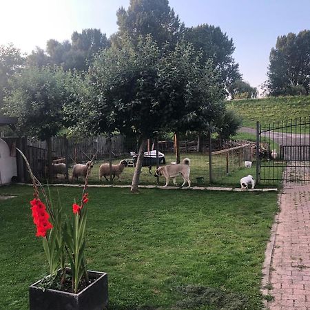 De Oude Schuur Bed & Breakfast Zuilichem ภายนอก รูปภาพ
